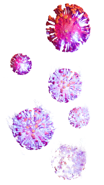 Corona Virus