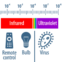 Visible light spectrum